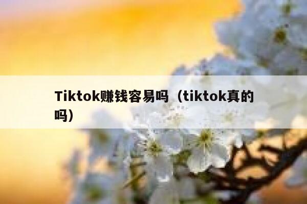 Tiktok赚钱容易吗（tiktok真的吗） 第1张