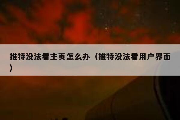 推特没法看主页怎么办（推特没法看用户界面） 第1张