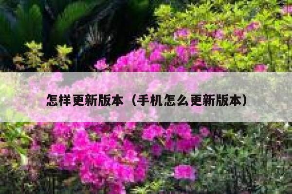 怎样更新版本（手机怎么更新版本） 第1张