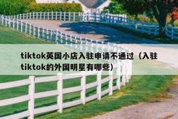 tiktok英国小店入驻申请不通过（入驻tiktok的外国明星有哪些） 第1张