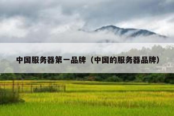 中国服务器第一品牌（中国的服务器品牌） 第1张