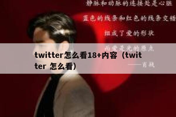 twitter怎么看18+内容（twitter 怎么看） 第1张