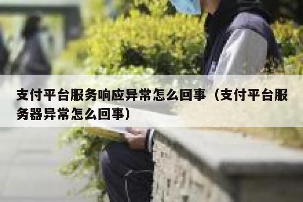 支付平台服务响应异常怎么回事（支付平台服务器异常怎么回事） 第1张