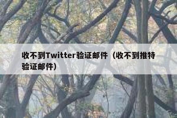 收不到Twitter验证邮件（收不到推特验证邮件） 第1张