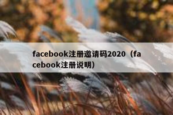 facebook注册邀请码2020（facebook注册说明） 第1张