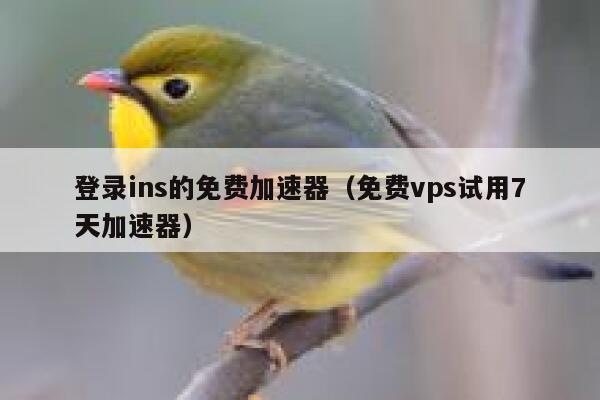 登录ins的免费加速器（免费vps试用7天加速器） 第1张