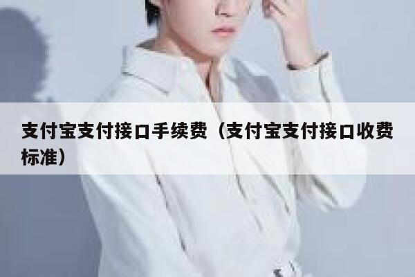 支付宝支付接口手续费（支付宝支付接口收费标准） 第1张