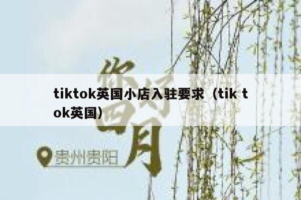 tiktok英国小店入驻要求（tik tok英国） 第1张