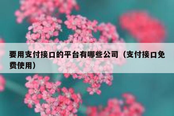 要用支付接口的平台有哪些公司（支付接口免费使用） 第1张