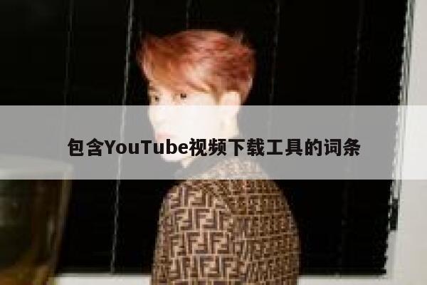 包含YouTube视频下载工具的词条 第1张