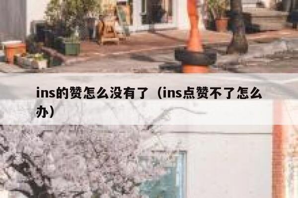 ins的赞怎么没有了（ins点赞不了怎么办） 第1张