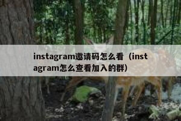 instagram邀请码怎么看（instagram怎么查看加入的群） 第1张