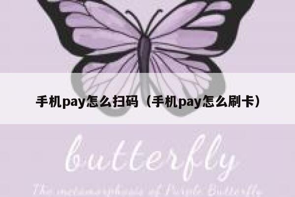 手机pay怎么扫码（手机pay怎么刷卡） 第1张