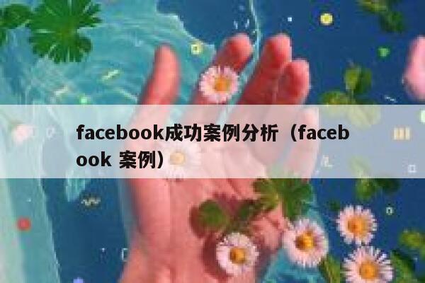 facebook成功案例分析（facebook 案例） 第1张