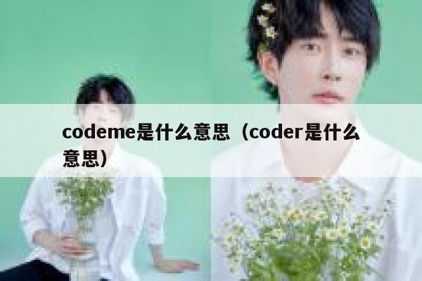 codeme是什么意思（coder是什么意思） 第1张