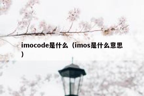 imocode是什么（imos是什么意思） 第1张