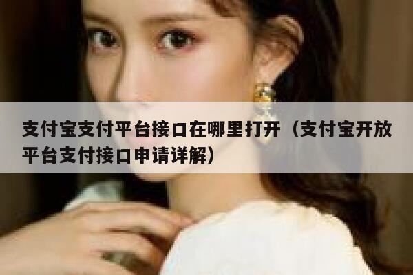 支付宝支付平台接口在哪里打开（支付宝开放平台支付接口申请详解） 第1张