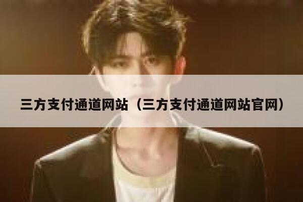三方支付通道网站（三方支付通道网站官网） 第1张