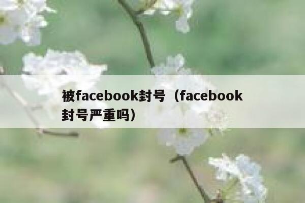 被facebook封号（facebook封号严重吗） 第1张