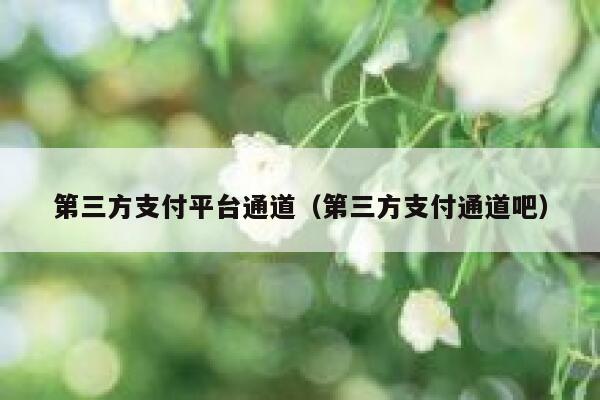 第三方支付平台通道(第三方支付通道吧) 第1张 第三方支付平台通道(第三方支付通道吧) 第1张