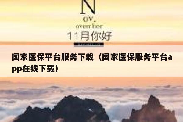 国家医保平台服务下载（国家医保服务平台app在线下载） 第1张