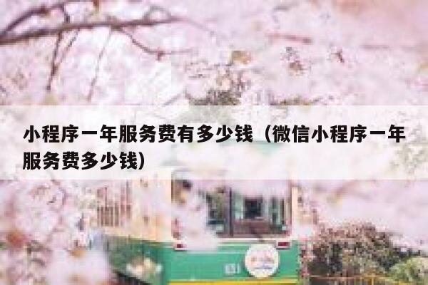 小程序一年服务费有多少钱（微信小程序一年服务费多少钱） 第1张