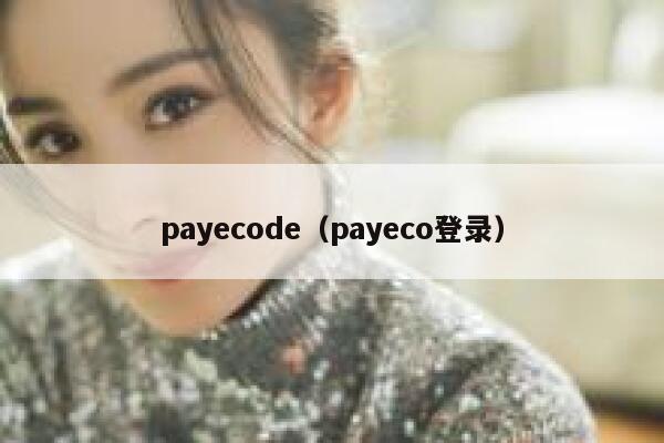 payecode（payeco登录） 第1张
