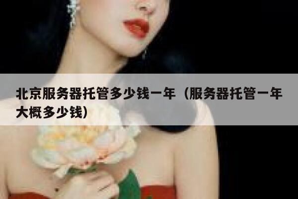 北京服务器托管多少钱一年（服务器托管一年大概多少钱） 第1张