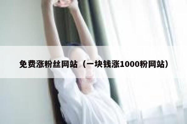 免费涨粉丝网站（一块钱涨1000粉网站） 第1张