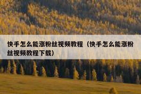 快手怎么能涨粉丝视频教程（快手怎么能涨粉丝视频教程下载） 第1张
