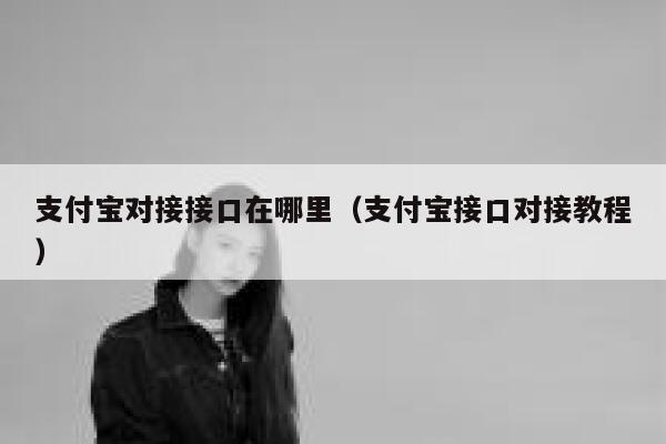 支付宝对接接口在哪里（支付宝接口对接教程） 第1张