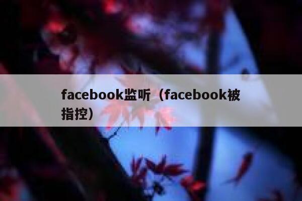facebook监听（facebook被指控） 第1张