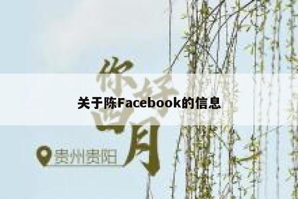 关于陈Facebook的信息 第1张