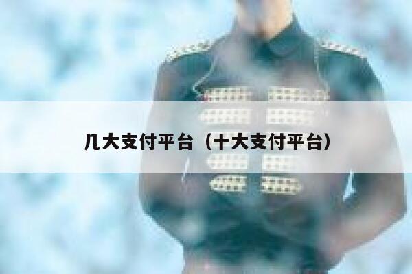 几大支付平台（十大支付平台） 第1张