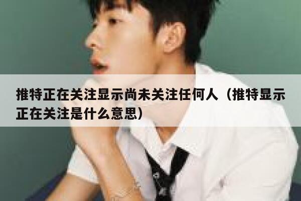 推特正在关注显示尚未关注任何人（推特显示正在关注是什么意思） 第1张