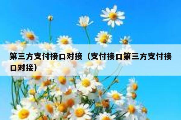 第三方支付接口对接（支付接口第三方支付接口对接） 第1张