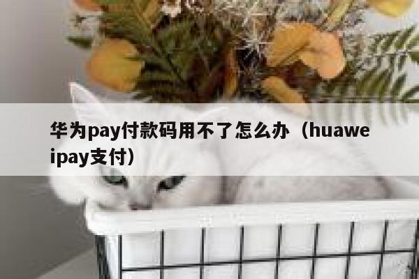 华为pay付款码用不了怎么办（huaweipay支付） 第1张