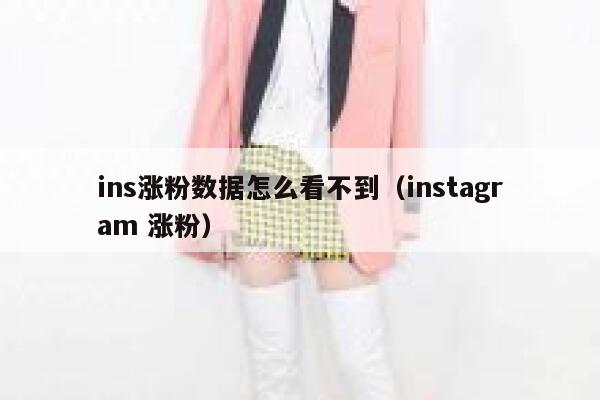 ins涨粉数据怎么看不到（instagram 涨粉） 第1张