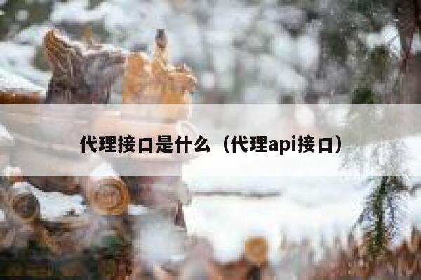 代理接口是什么（代理api接口） 第1张