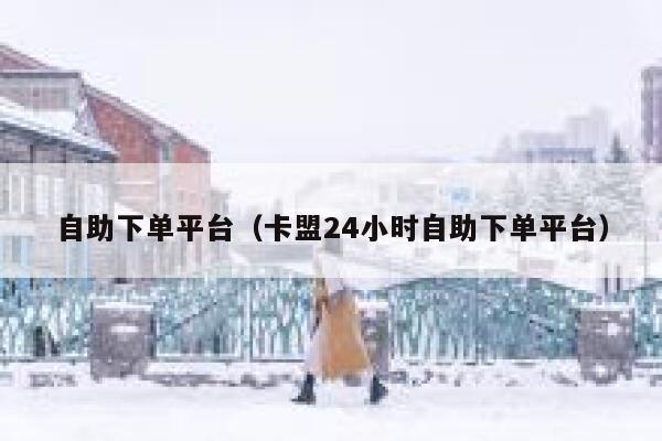 自助下单平台（卡盟24小时自助下单平台） 第1张