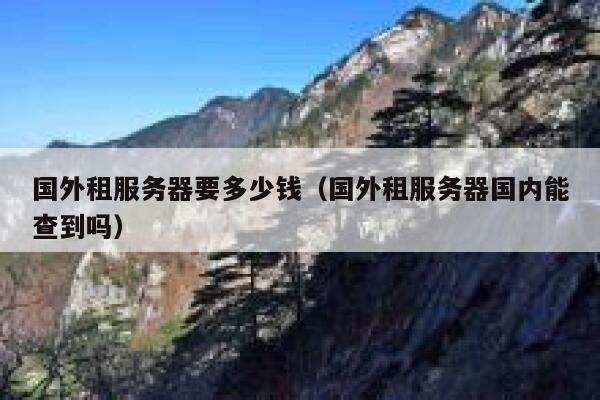 国外租服务器要多少钱（国外租服务器国内能查到吗） 第1张
