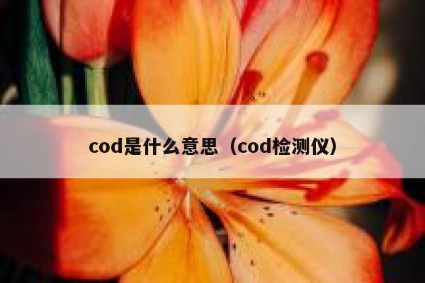 cod是什么意思（cod检测仪） 第1张