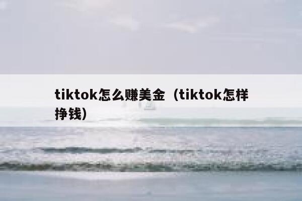 tiktok怎么赚美金（tiktok怎样挣钱） 第1张