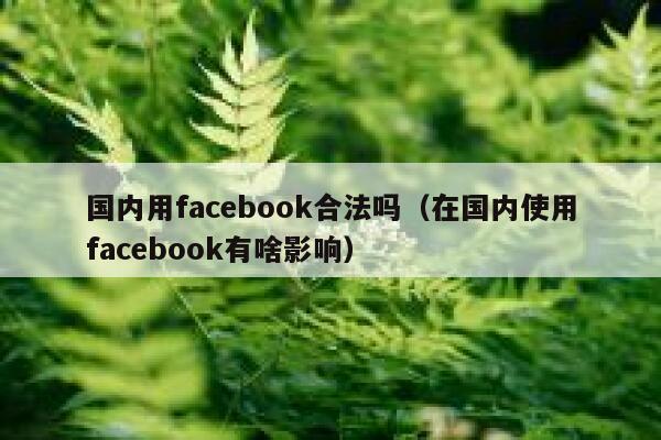 国内用facebook合法吗(在国内使用facebook有啥影响) 第1张 国内用facebook合法吗(在国内使用facebook有啥影响) 第1张