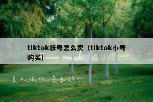 tiktok账号怎么卖（tiktok小号购买） 第1张