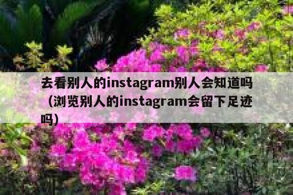 去看别人的instagram别人会知道吗（浏览别人的instagram会留下足迹吗） 第1张