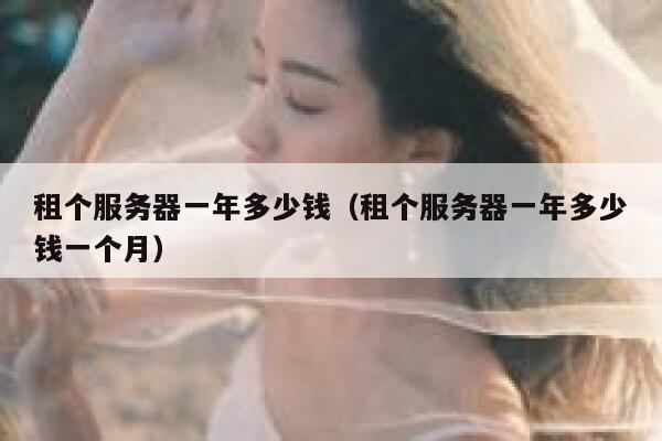 租个服务器一年多少钱（租个服务器一年多少钱一个月） 第1张