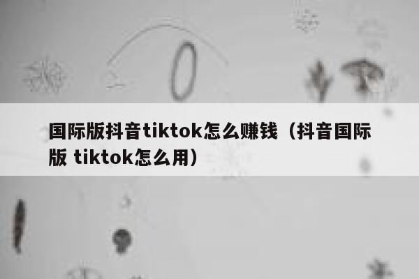 国际版抖音tiktok怎么赚钱（抖音国际版 tiktok怎么用） 第1张