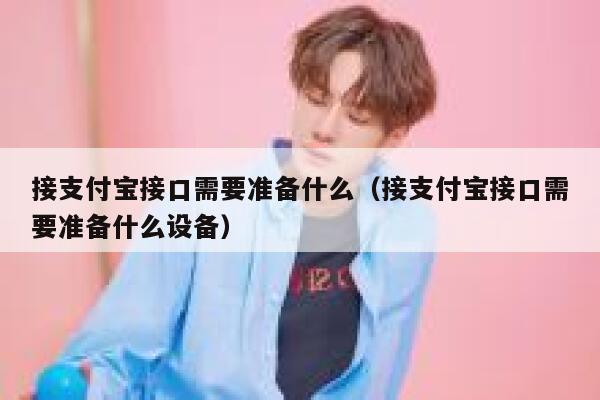 接支付宝接口需要准备什么（接支付宝接口需要准备什么设备） 第1张