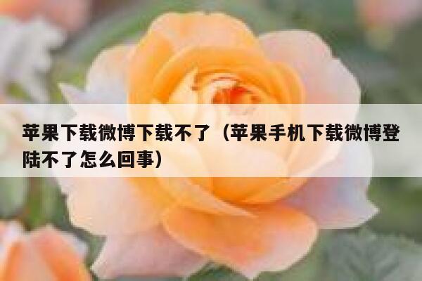 苹果下载微博下载不了（苹果手机下载微博登陆不了怎么回事） 第1张